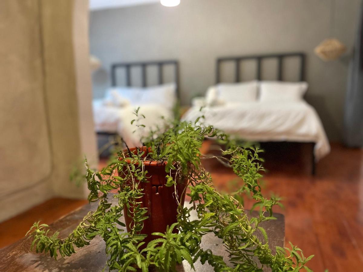 Hotel Villa Helena San Miguel de Allende Extérieur photo