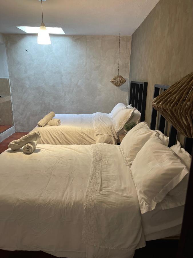 Hotel Villa Helena San Miguel de Allende Extérieur photo